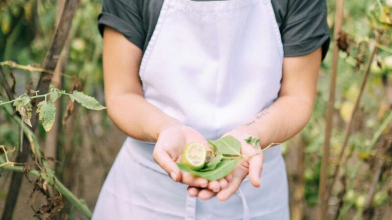 Verbeter de werksfeer: 8 effectieve tips voor ondernemers in 2026