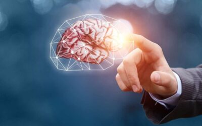 Factoring voor MKB in 2026: snelle liquiditeit en groei