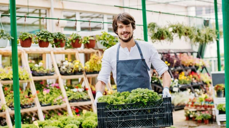 Salarisschalen opzetten: jouw gids voor een eerlijk loonhuis in 2026