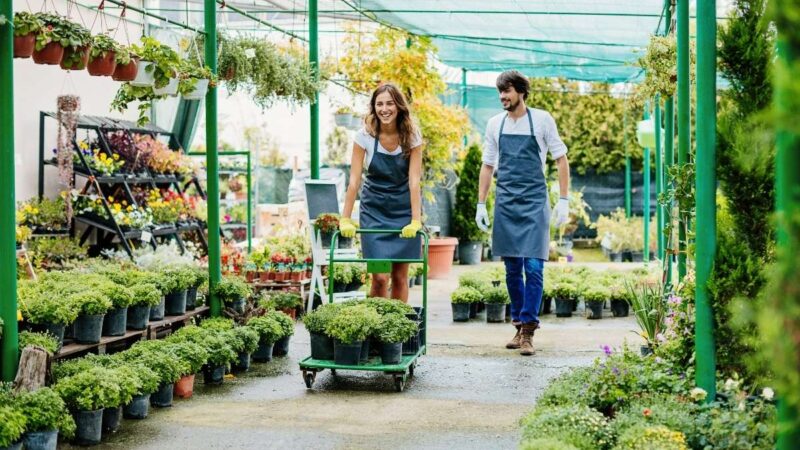 Groei je bedrijf: de kracht van strategische zakelijke partnerschappen